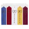 10 Swimming Ribbons Organizer Holder Display Storage Gymnastics Track Award Ribbon Strong Clear Robust Binder Pages Sheets - Mercurydean USA view 1