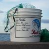 Bait Buster Mullet Cast Nets 1-1/4" Sq. Mesh (12 ft. Radius) view 1
