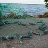 Bait Buster Mullet Cast Nets 1-1/4" Sq. Mesh (12 ft. Radius) view 2