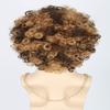Topcosplay Men Wigs 70s 80s Disco Hippies Afro Wig Short Curly Male Wigs Blonde Mixed Brown Halloween Costume Wig view 4