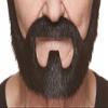 Mustaches Self Adhesive Fake Beard, Novelty, On Bail False Facial, Costume Accessory for Adults, Black Lustrous Color view 1