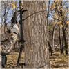 Muddy Pro 20-Inch Aluminum Climbing Stick with Built-in Teeth and Aluminum Bark Biters for Crooked or Straight Trees (4-Pack) view 4