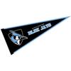 Johns Hopkins Blue Jays Pennant view 1