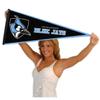 Johns Hopkins Blue Jays Pennant view 4
