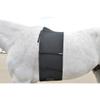 EquiFit Belly Band for Spur Protection Horse view 2