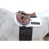 EquiFit Belly Band for Spur Protection Horse view 3