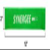 Synergee 10 Pack Mini Band Resistance Loop Exercise Bands Green Medium Resistance view 3