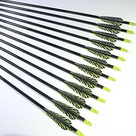 Shiny Black 12 TigerStreak 30" Premium Fiberglass Hunting/Target Arrows with Replaceable Screw-In Stainless Steel Field Point