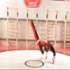 Suples Speed Wrestling Dummy with Legs  Medium 46 lb 63 in Vinyl Throwing Dummy for MMA, Judo, Jiu Jitsu & Grappling Training view 3